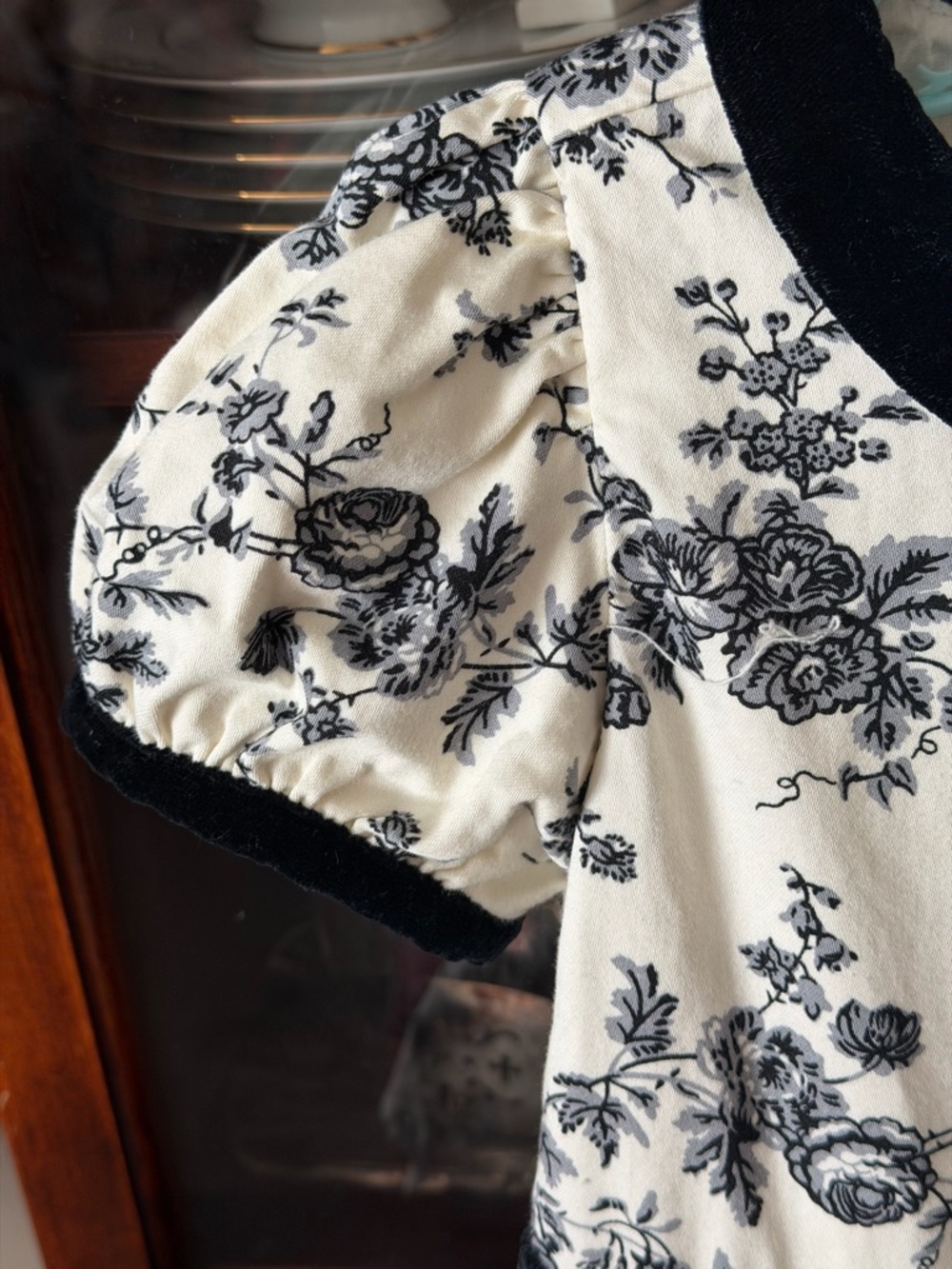 Janie and Jack Girls Cream and sugar Floral  toile Dress Black velvet Trim - Picture 6 of 11